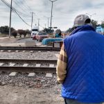 VIAS DEL TREN (1)