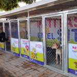 PATITAS EN SIT (1)