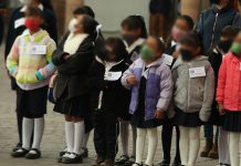 Después de dos años…Caminito a la escuela