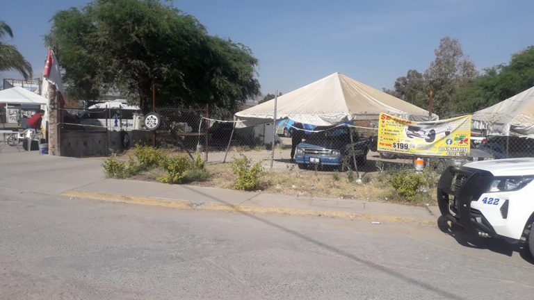 Muere atacado por jauría de perros