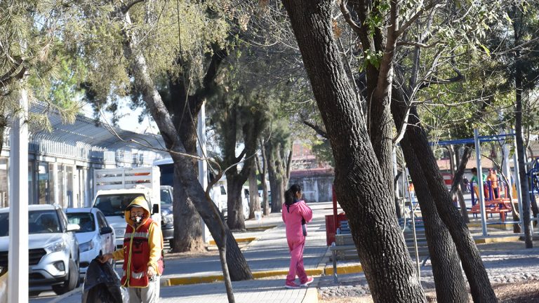 Urge preservar pulmones verdes: FURA