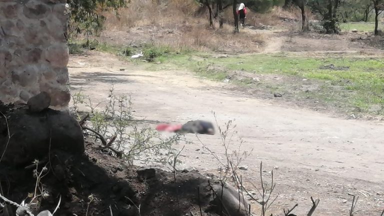 Lo matan y abandonan
