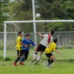 prodefut