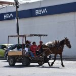 CABALLOS DE CARGA (1)