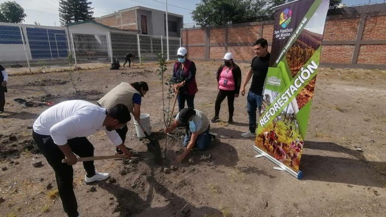 Realizaron labores de reforestación
