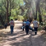 Limpieza (1)
