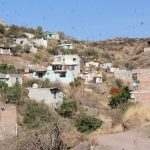 Falsos (1)