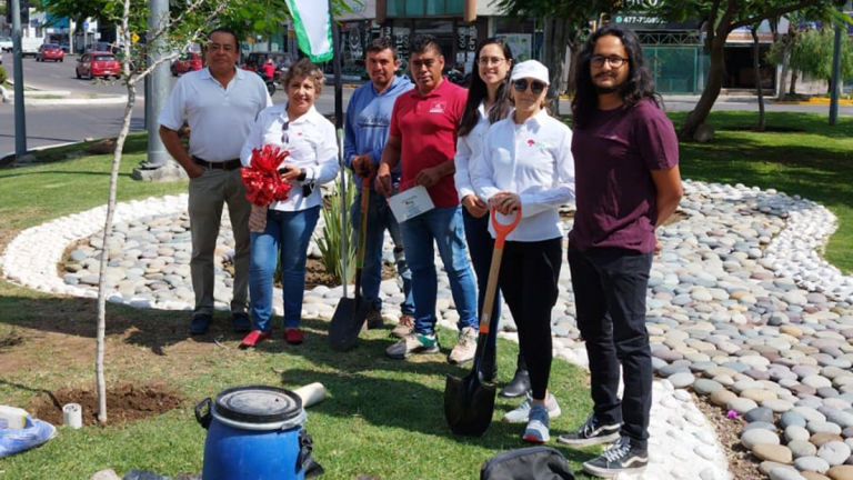 Todos los días hay que recordar y honrar a los árboles: FURA