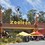 ZOOLOGICO (5)