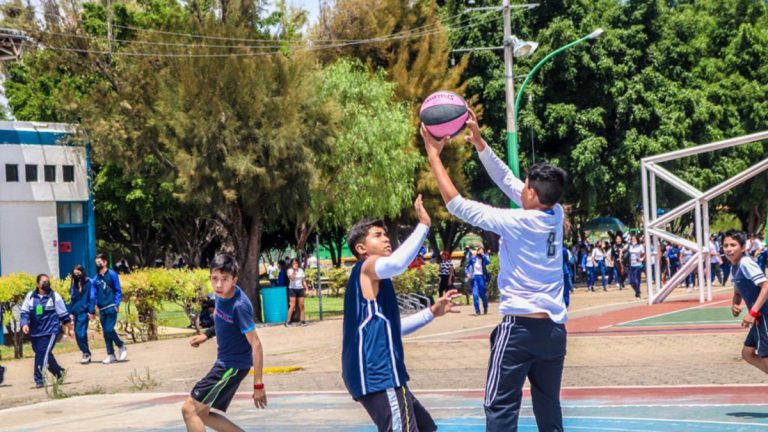 Regresan los cursos de verano Regresan los cursos de verano