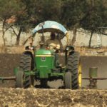 CAMPO (6)
