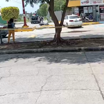 CELAYA CAPTURADOS