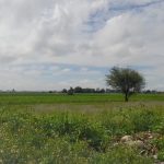 maravillas