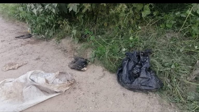 Pensaron que eran de humano