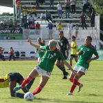 tripitas