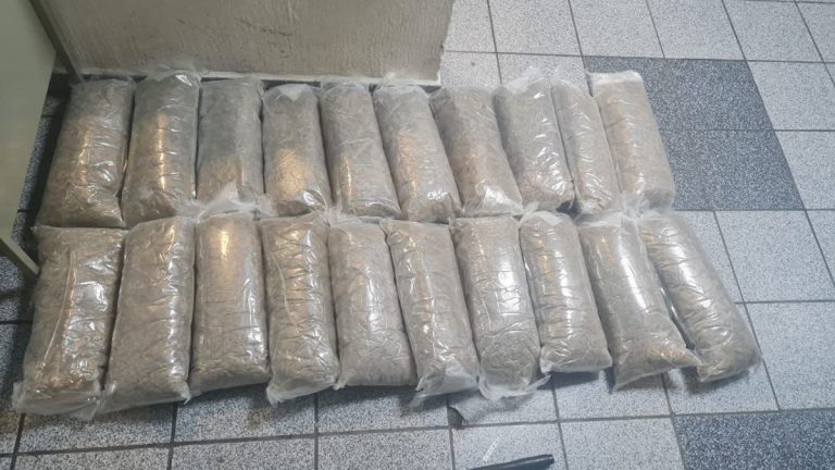 Detienen a 2 camellos Detienen a 2 camellos