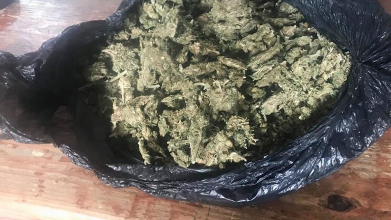 Paseaba droga