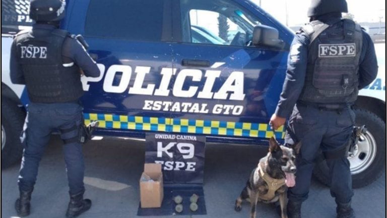 Encuentran peyote Encuentran peyote