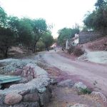 CERRANIA (6)