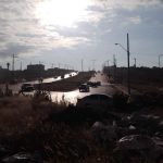 RUTA 84 (4)