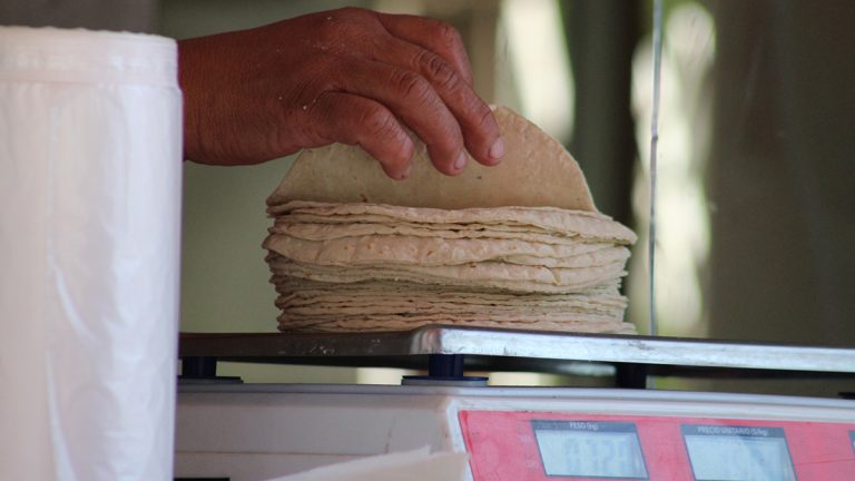 Que se mantenga el precio de la tortilla