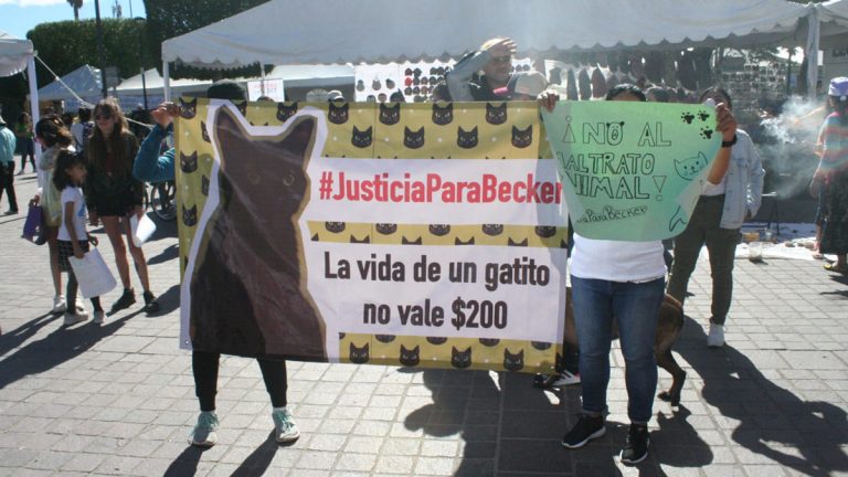 Marchan en pro de los animales Marchan en pro de los animales
