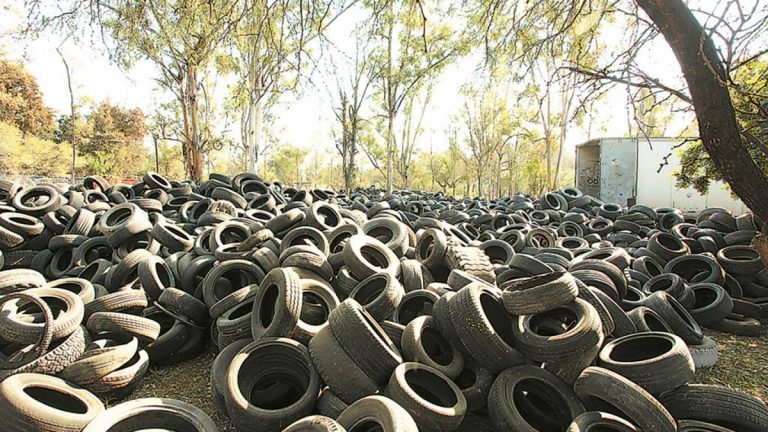 Recuperan 15 mil llantas en desuso Recuperan 15 mil llantas en desuso