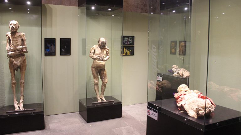 Acceso a museos será gratuito todo el año
