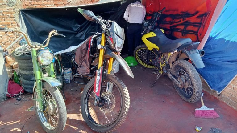 Hallaron el nido de ratas Hallaron el nido de ratas
