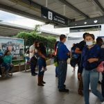 CAMIONES (17)