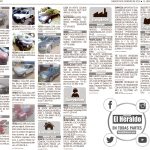Maquetación 1