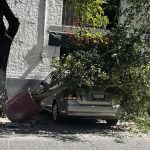 Recamara (gto) (3)