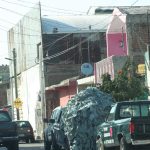TENERIAS (3)