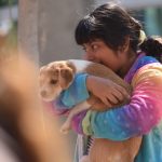 esterilización