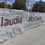 PINTAS PARTIDISTAS (Purí) (2)