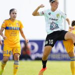 leon femenil (2)