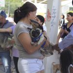 CAMPAÑA DE VACUNACION ANTIRABICA (5)