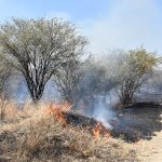 INCENDIOS PASTIZAL (1)