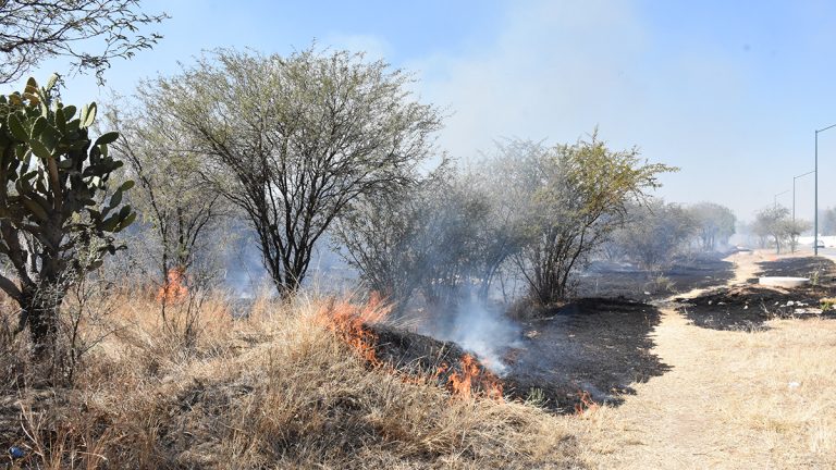 Incrementan incendios en pastizales del municipio