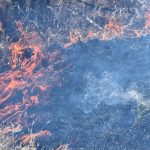 INCENDIOS PASTIZAL (3)