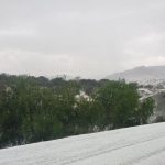 NEvada (Gto) (1)