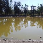 PARQUE CHAPALITA (3)