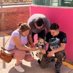 Perritos (Gto) (3)