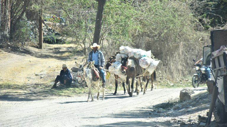 Autoridades olvidan a la Colonia Santa Cruz