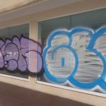 VANDALISMO LOCAL CENTRO (4)