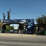 deportivas (1)