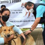 ANTIRRÁBICA (2) – copia