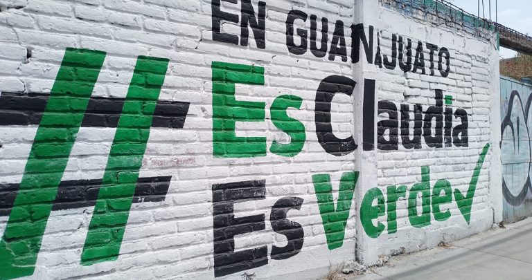 Nosotros no fuimos: PVEM