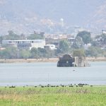 PRESA (1)