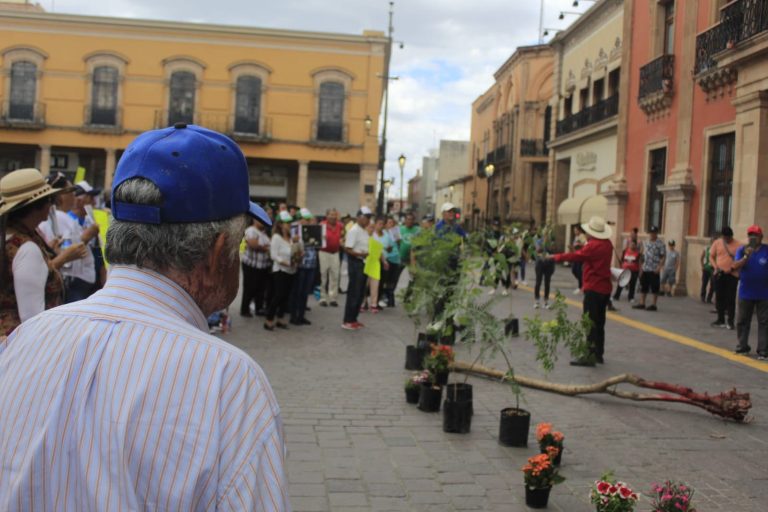Salieron a las calles a protestar por la tala